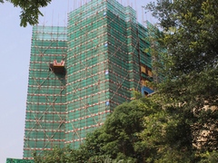  木业有限公司,清水模板,覆膜板,胶合板,建筑模板