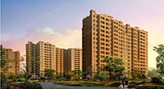  木业建筑模板--中信地产中信新城X1-3项目