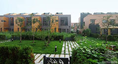  木业建筑模板--万科-东丽湖六期(碧湖苑、碧虹苑)