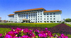  木业建筑模板--天津杨柳青镇示范小城镇B地块(贵福苑)